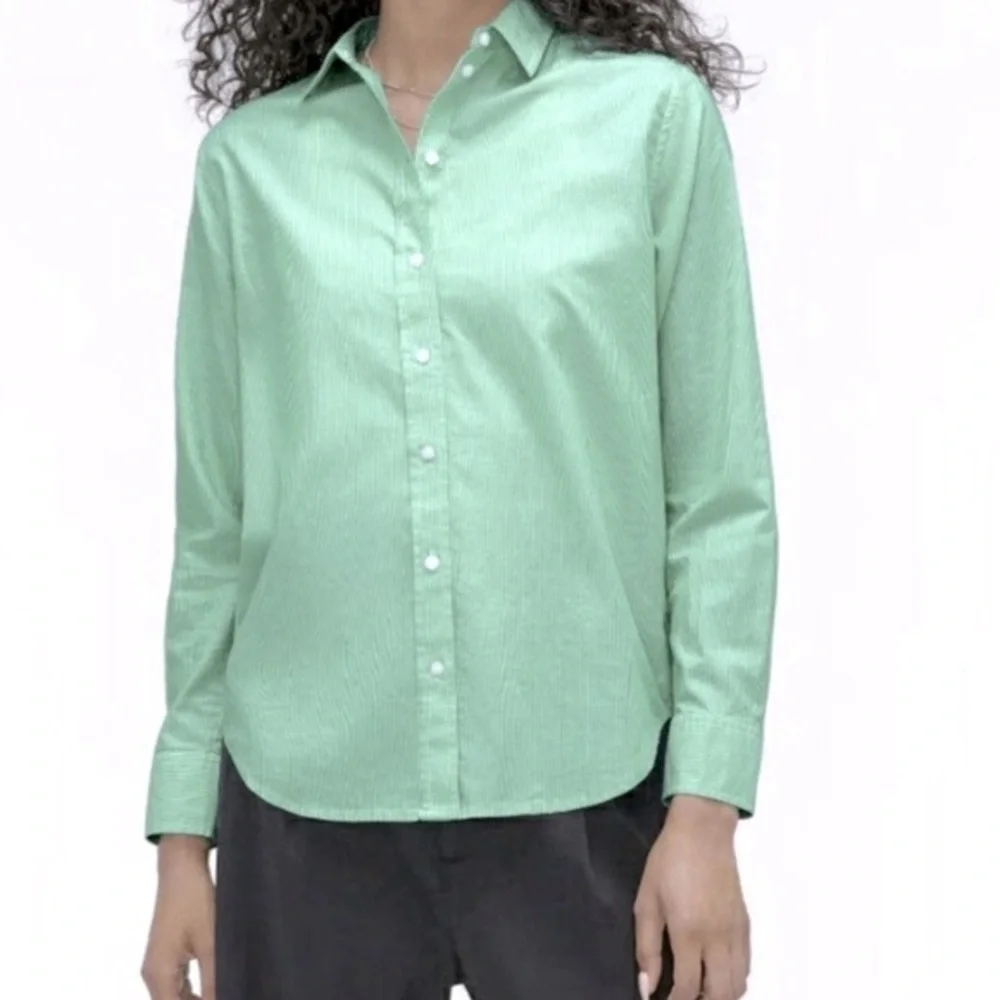 NWT Everlane The Silky Cotton Relaxed Shirt Mint Pinstripe size 2